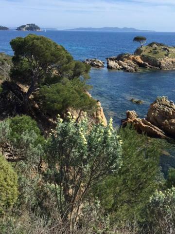 Ecrin De Verdure Sur Le Lavandou - Classement Tourisme 3 Etoiles المظهر الخارجي الصورة